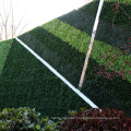 Customized fresh PE artificial plants green wall for privacy safety